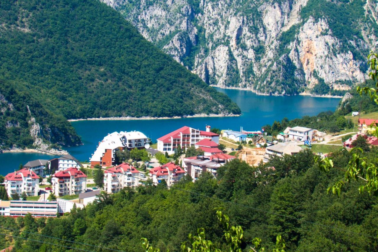 Studio Apartman D&S Плужине Экстерьер фото