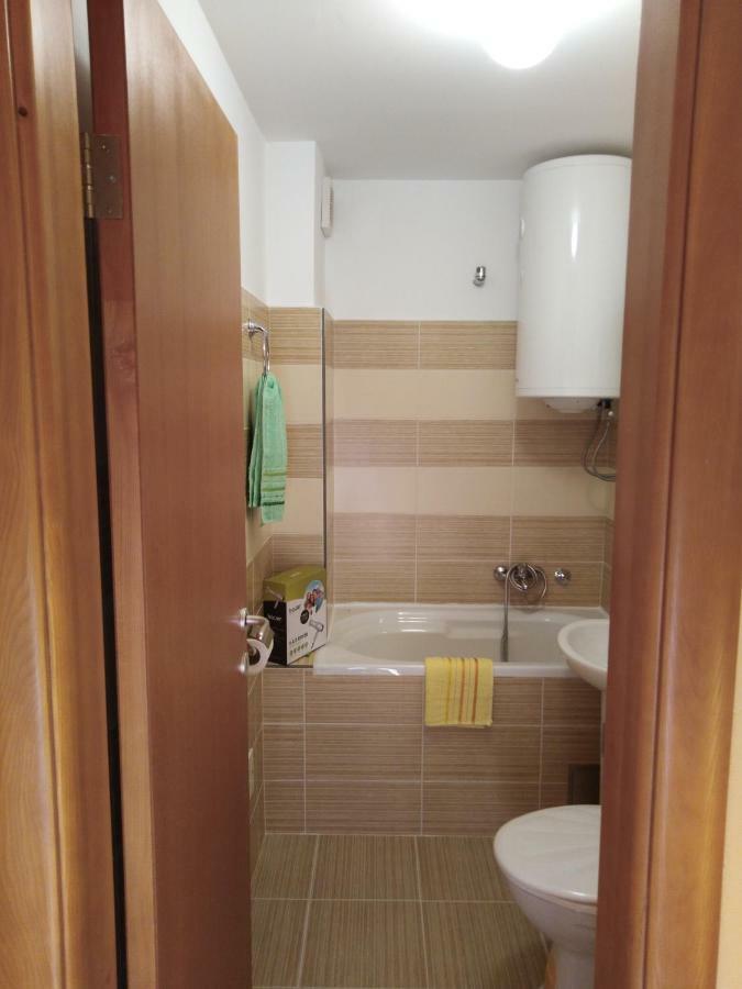 Studio Apartman D&S Плужине Экстерьер фото